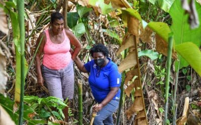 Bamboo Project Funding